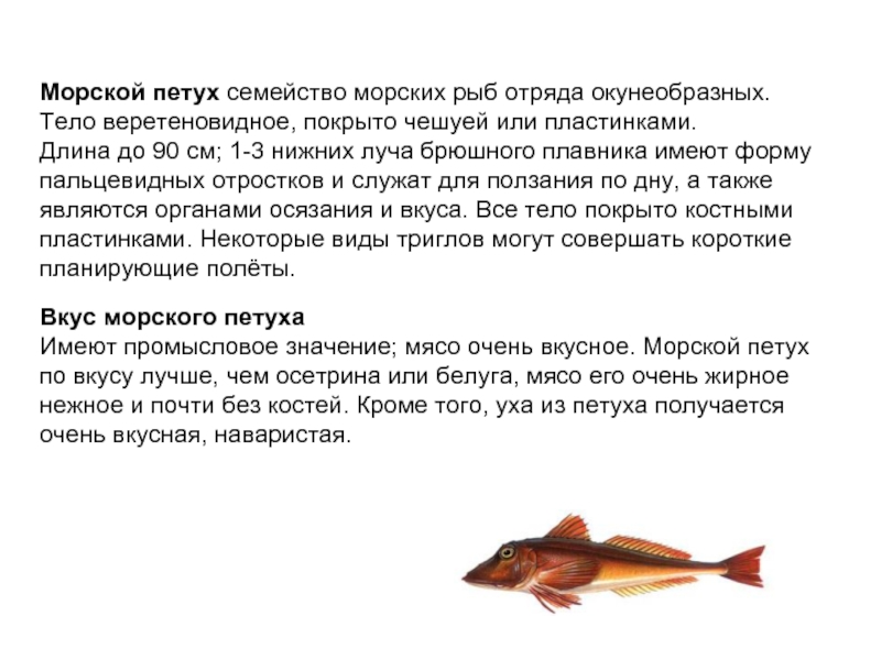Реферат: Сравнительная характеристика семейства рыб и видов рыб