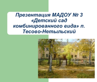 Презентация МАДОУ № 3Детский сад комбинированного вида п.Тесово-Нетыльский