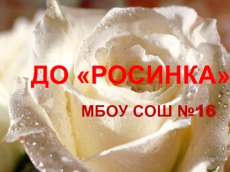 ДО РОСИНКА