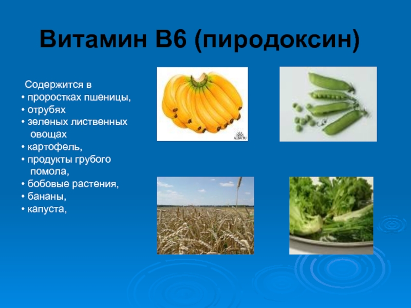 В каких продуктах в 6. Витамин в6 где содержится. Витамин в6 содержится в продуктах. В каких продуктах содержится витамин в6. Продукты богатые витамином в6.