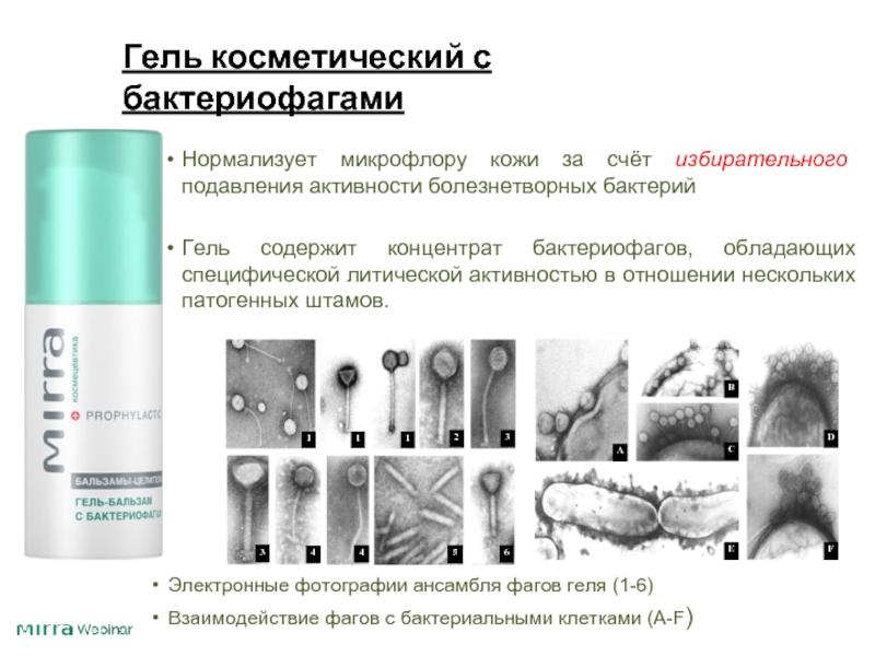 Презентация про акне