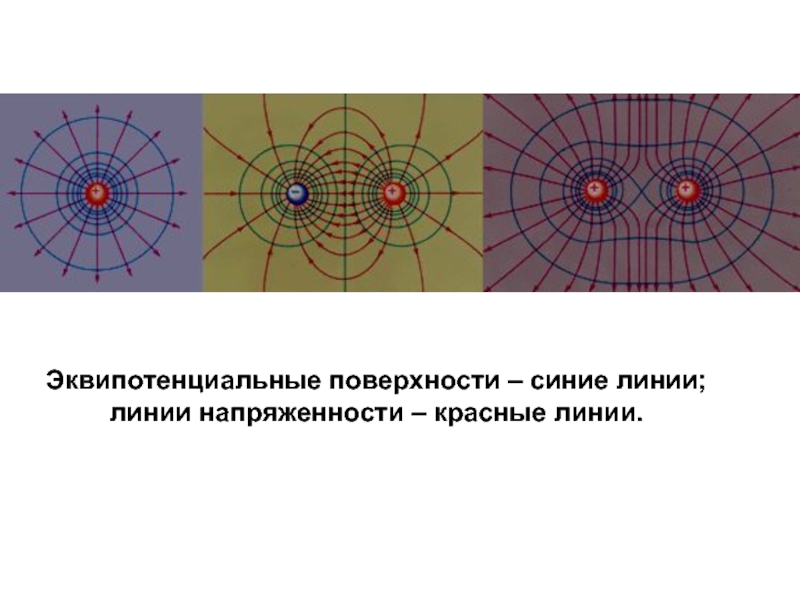 На рисунке представлена картина эквипотенциальных поверхностей