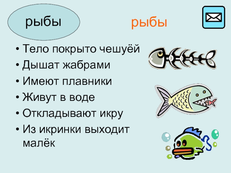 Текст 1 рыбка