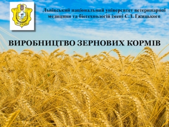 Виробництво зернових кормів