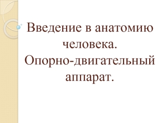 Введение в анатомию человека. Опорно-двигательный аппарат