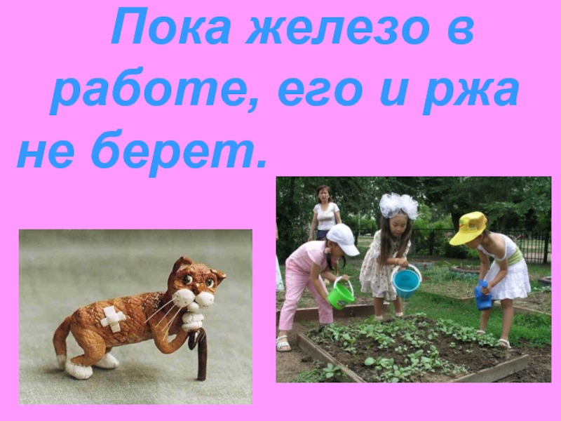 Пословица пока