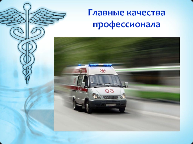 Главные качества профессионала