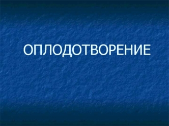 Оплодотворение. Строение половых клеток