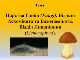 Царство Гриби (Fungi). Відділи Аскомікота та Базидіомікота. Відділ Лишайники (Liсhenophyta)