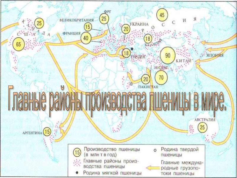 Районы производства. Главные районы производства пшеницы. Основные районы производства. Главные районы производства пшеницы в мире. Родина пшеницы на карте.