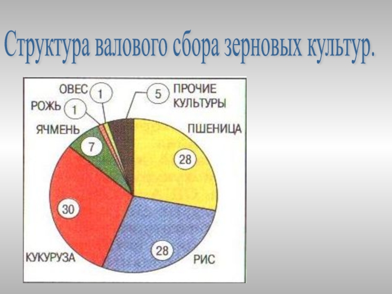 Проведите анализ рисунка структура валового сбора зерновых ресурсов.