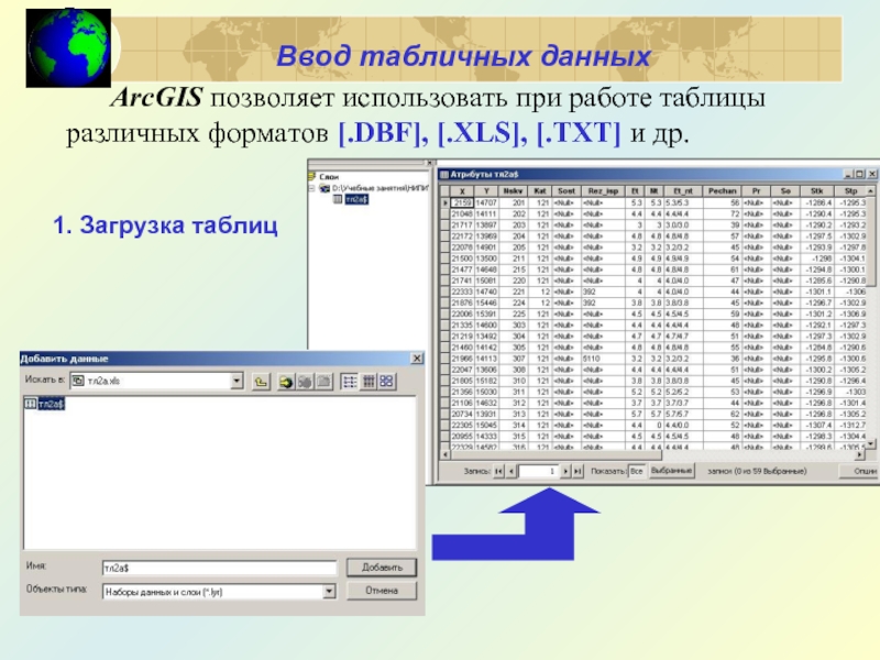 ArcGIS позволяет использовать при работе таблицы различных форматов [.DBF], [.XLS], [.TXT] и др.  Ввод табличных данных