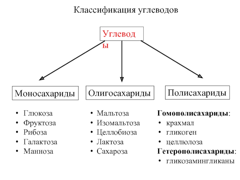 На основе текста параграфа и анализа иллюстраций составьте схему отражающую классификацию углеводов