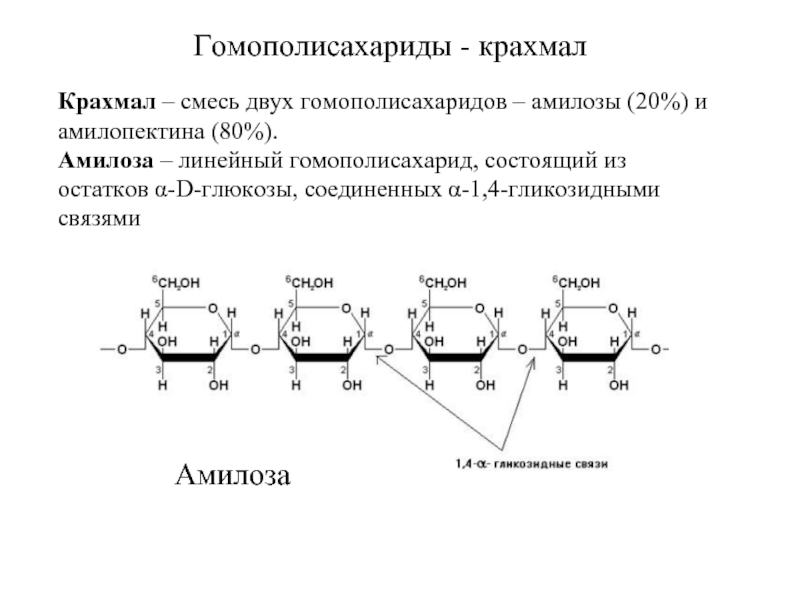 Крахмал тип связи. Строение крахмала амилоза и амилопектин. Гомополисахариды: крахмал (амилоза и амилопектин). Строение амилозы. Гликозидные связи в крахмале.