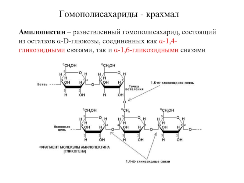 Схему связывания концевого остатка цепи гиалуроновой кислоты с тетрасахаридным фрагментом