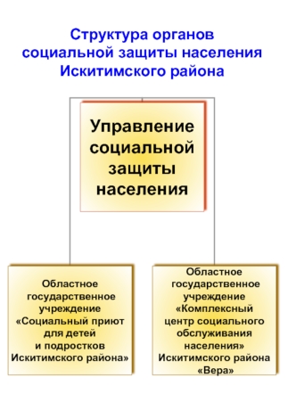 Структура органов социальной защиты населения Искитимского района