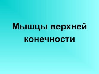 Мышцы верхней конечности