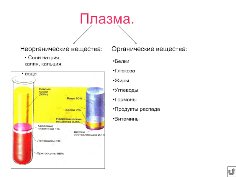 Волосы это органическое вещество