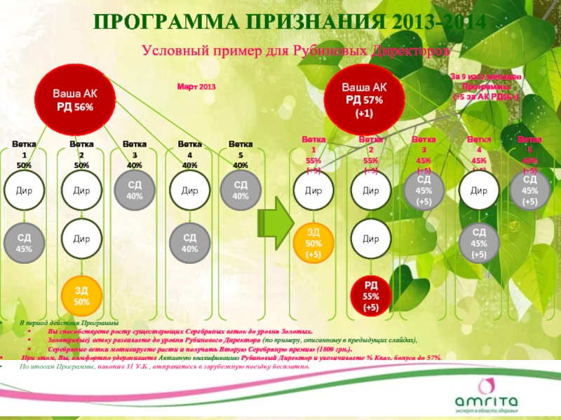 До какого года действует программа. Программы для веток. Программа признания.