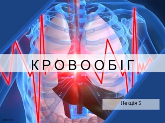 Кровообіг. Будова серця. Властивості серцевого м'яза