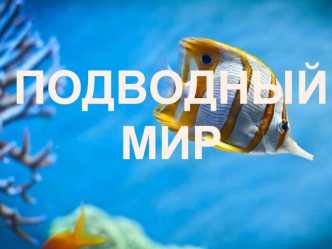 Подводный мир