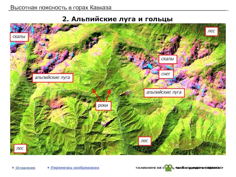 Высотная поясность кавказа 8 класс. Альпийские Луга Кавказа карта. Высотная поясность в горах Кавказа. Высотная поясность Альпийские Луга. Высотная поясность Кавказа.