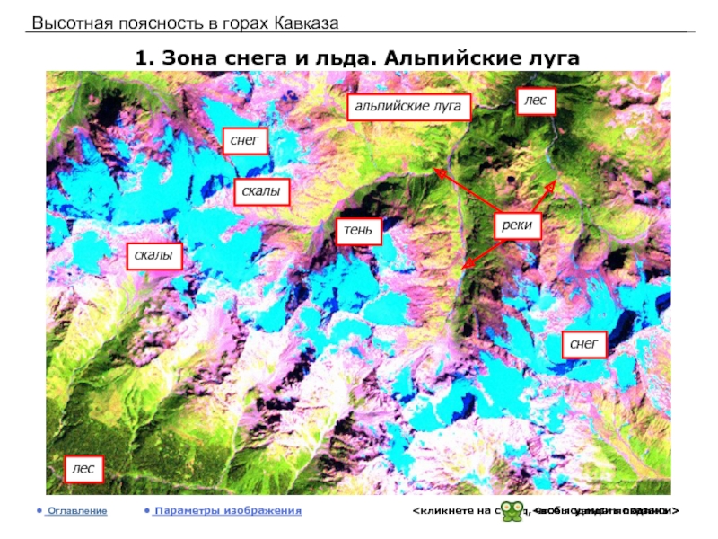 На какой высоте расположен субальпийский пояс кавказ. Кавказ Высотная поясность в горах Кавказа. Карта ВЫСОТНОЙ поясности Кавказа. Высотная поясность в горах. Высотная поясность Альпийские Луга.