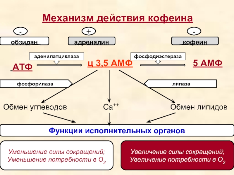 Обмена действия