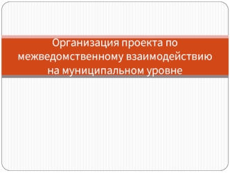 Организация проекта по межведомственному взаимодействию на муниципальном уровне