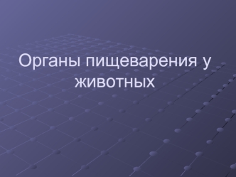 Органы пищеварения у животных