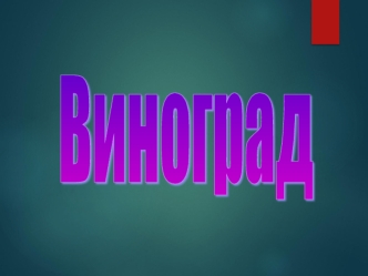 Виноград. Качества винограда