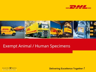 Exempt human - animal. Транспортировка биологических образцов