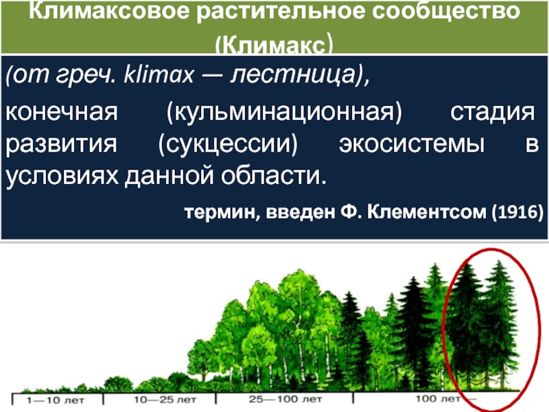 Естественная смена экосистем в процессе развития. Этапы сукцессии. Этапы первичной сукцессии. Этапы формирования сукцессии. Экологическая сукцессия таблица.