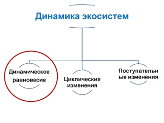 Динамика экосистем