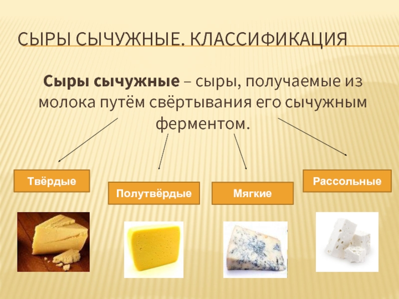 Реферат: Технология производства твердых сычужных сыров 2