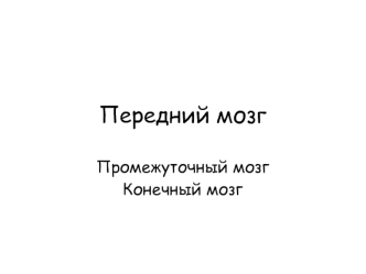 Передний мозг. Промежуточный мозг. Конечный мозг