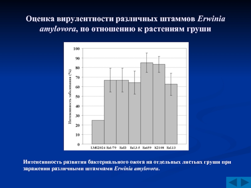 Оценка вирулентности. Аттестация вирулентности. L-оценка.