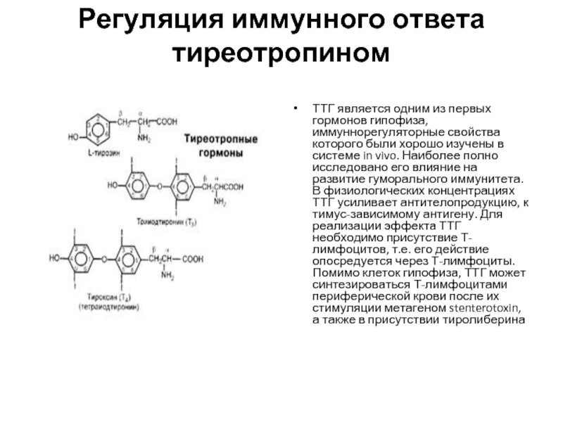 Регуляция иммунных процессов