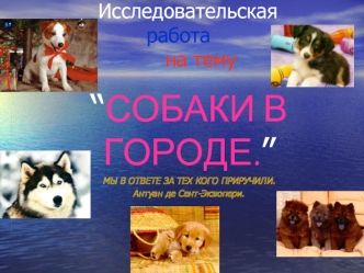 “СОБАКИ В ГОРОДЕ.”
МЫ В ОТВЕТЕ ЗА ТЕХ КОГО ПРИРУЧИЛИ.
Антуан де Сент-Экзюпери.