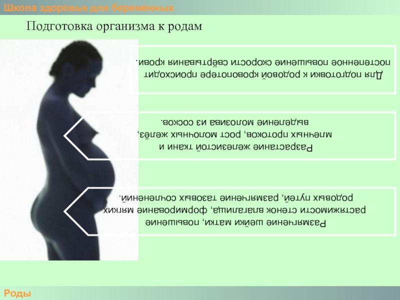 Подготовка организма. Готовность организма беременной к родам. Школа здоровья для беременных презентация. Признаки готовности организма женщины к родам. Шкала готовность организма беременной к родам.