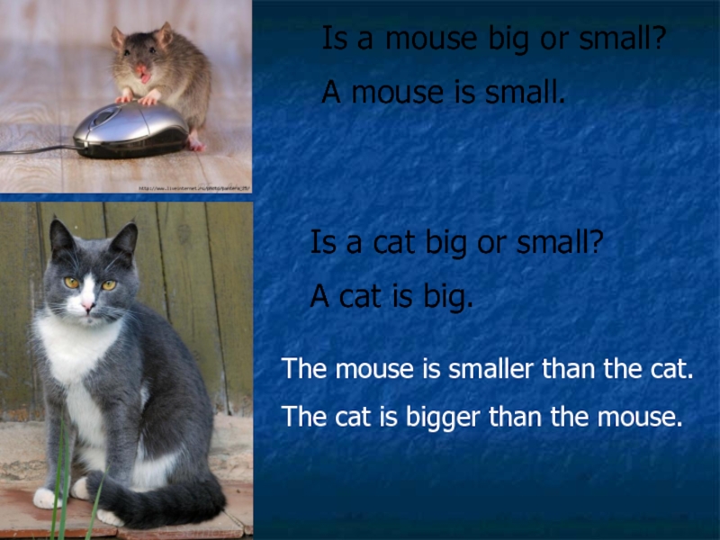 Bigger or smaller than. Small на английском. Big or small. Биг Маус. Than Союз.