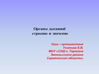 Органы дыхания: строение и значение