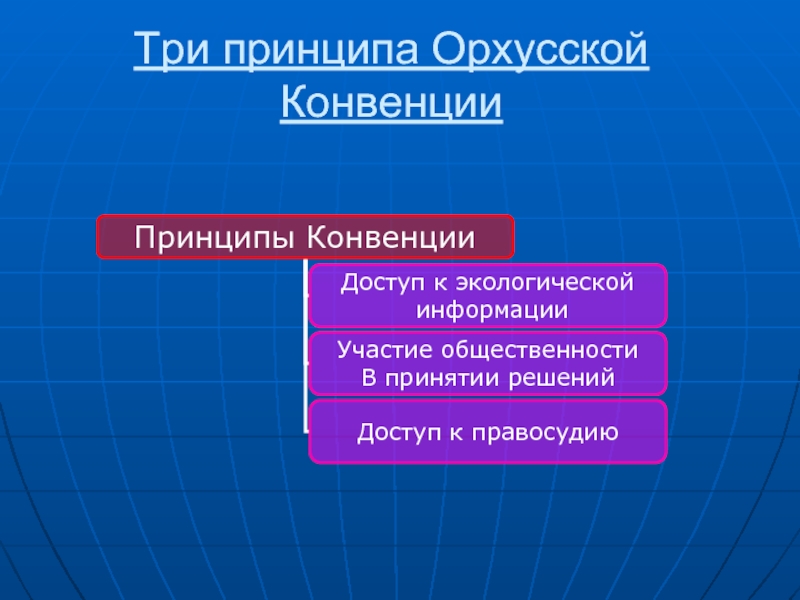 Три принципа. Орхусская конвенция. Принципы конвенции. Орхусская конвенция о доступе к экологической информации. Три конвенции.