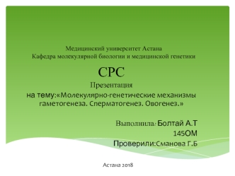 Молекулярно-генетические механизмы гаметогенеза. Сперматогенез. Овогенез