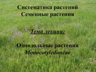 Однодольные растения Monocotyledoneae