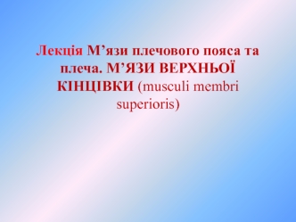 М’язи плечового пояса та плеча. М’язи верхньої кінцівки