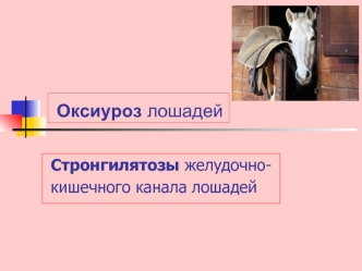 Оксиуроз лошадей. Стронгилятозы желудочно-кишечного канала лошадей