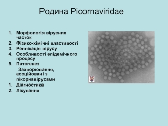 Родина Picornaviridae