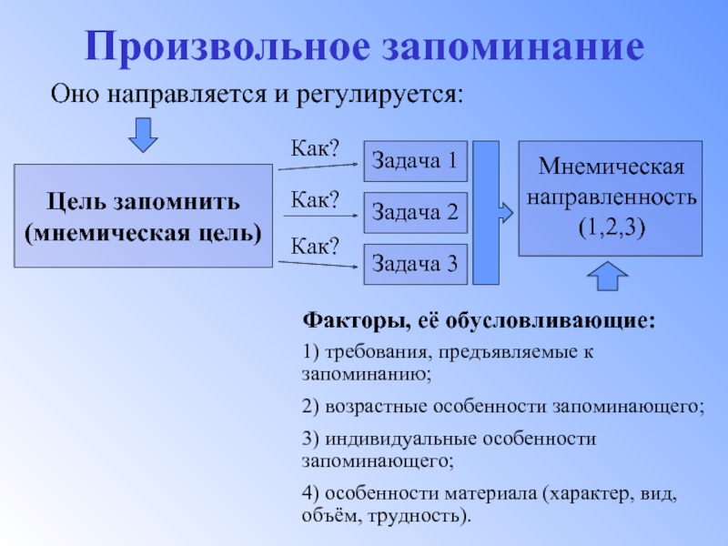 Развитие произвольного запоминания