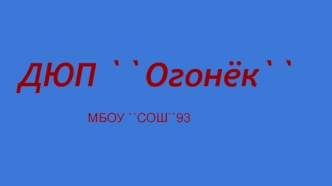 ДЮП Огонёк. Школьный отряд